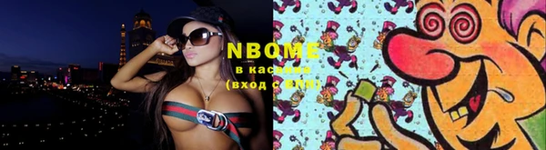 крисы Аркадак