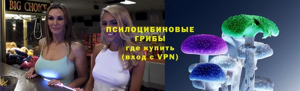 меф Арсеньев
