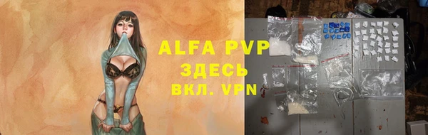 крисы Аркадак