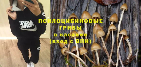 меф Арсеньев