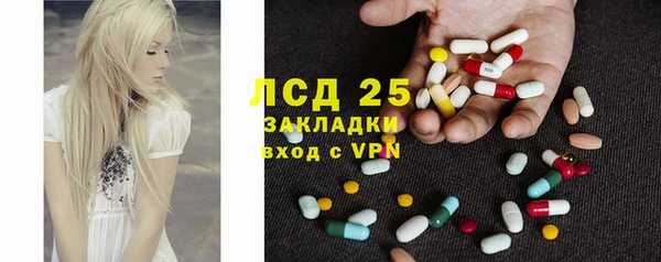 крисы Аркадак