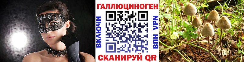 Галлюциногенные грибы мицелий  наркотики  Аркадак 
